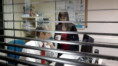 /album/fotogaleria/2010-06-29-mate-1a-resize-jpg/